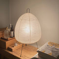 Rice Paper Lamp